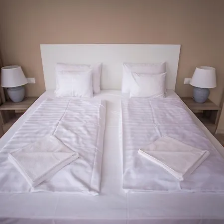 Selfness Vadvirag Hotel 3*